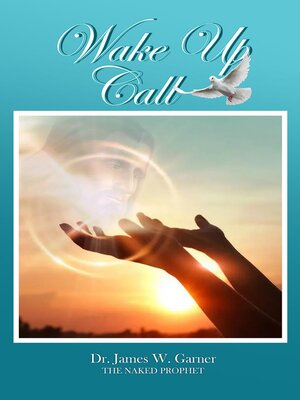 cover image of Wake Up Call